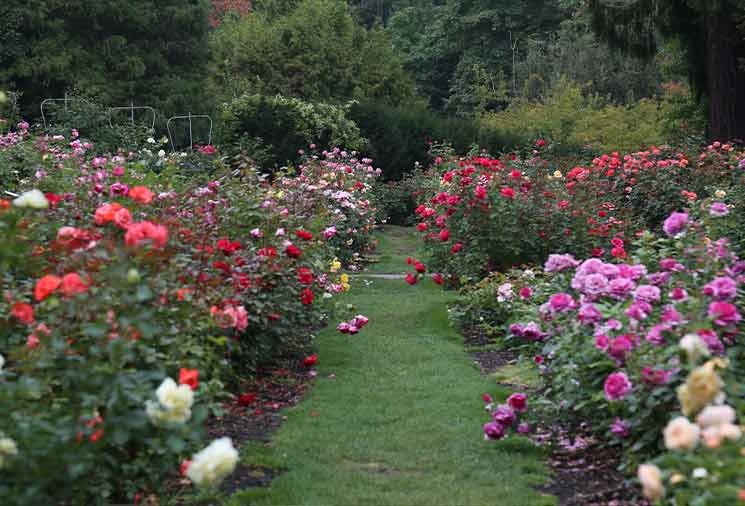 planning your garden