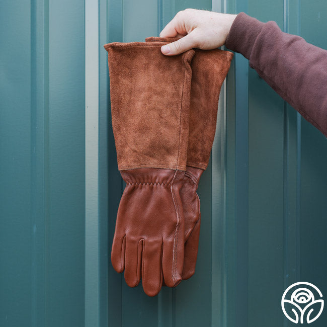 Heirloom Gloves #G007