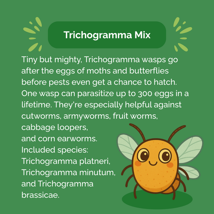 Beneficial Insect Subscription