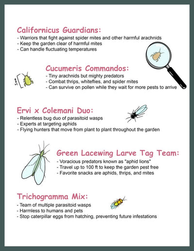 Beneficial Insect Subscription