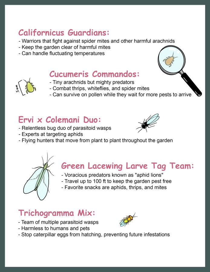 Beneficial Insect Subscription