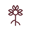 Bloom Booster