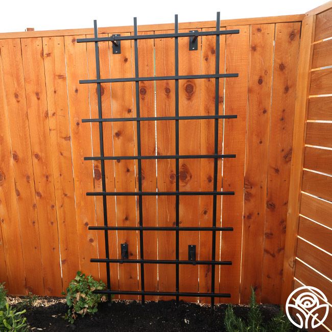 metal plant trellis Heirloom's Own Metal Trellis System™