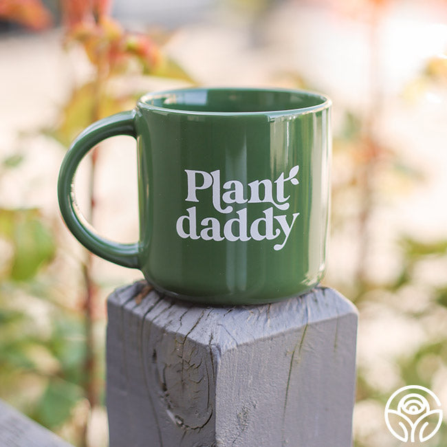 Stoneware Mugs
