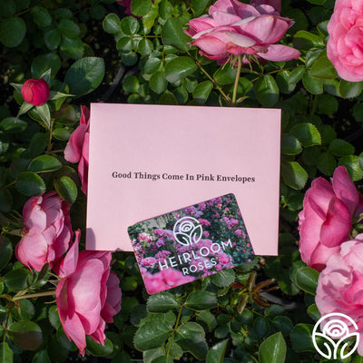 Heirloom Roses Gift Card (Tangible)