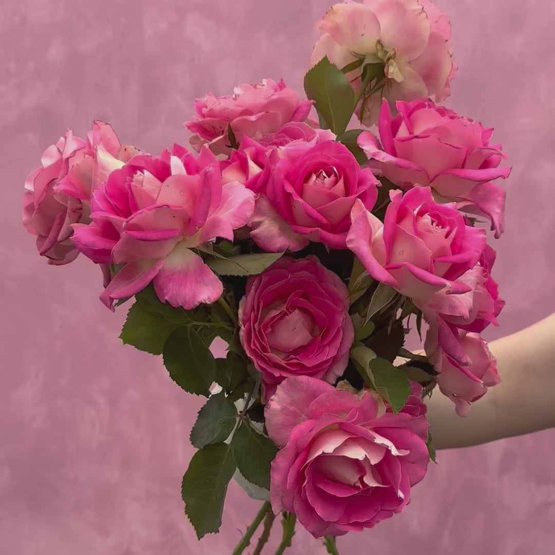 Painted Porcelain™ – Heirloom Roses