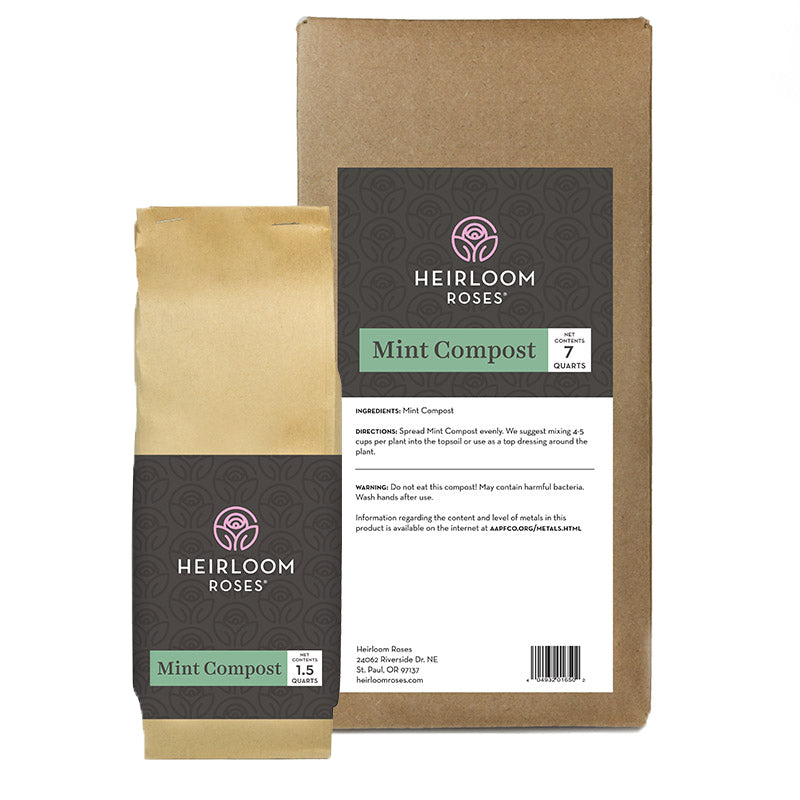 100 Natural Mint Compost Heirloom Roses
