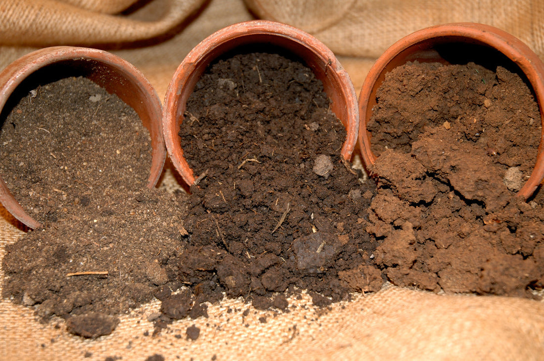 Soil Recommendations