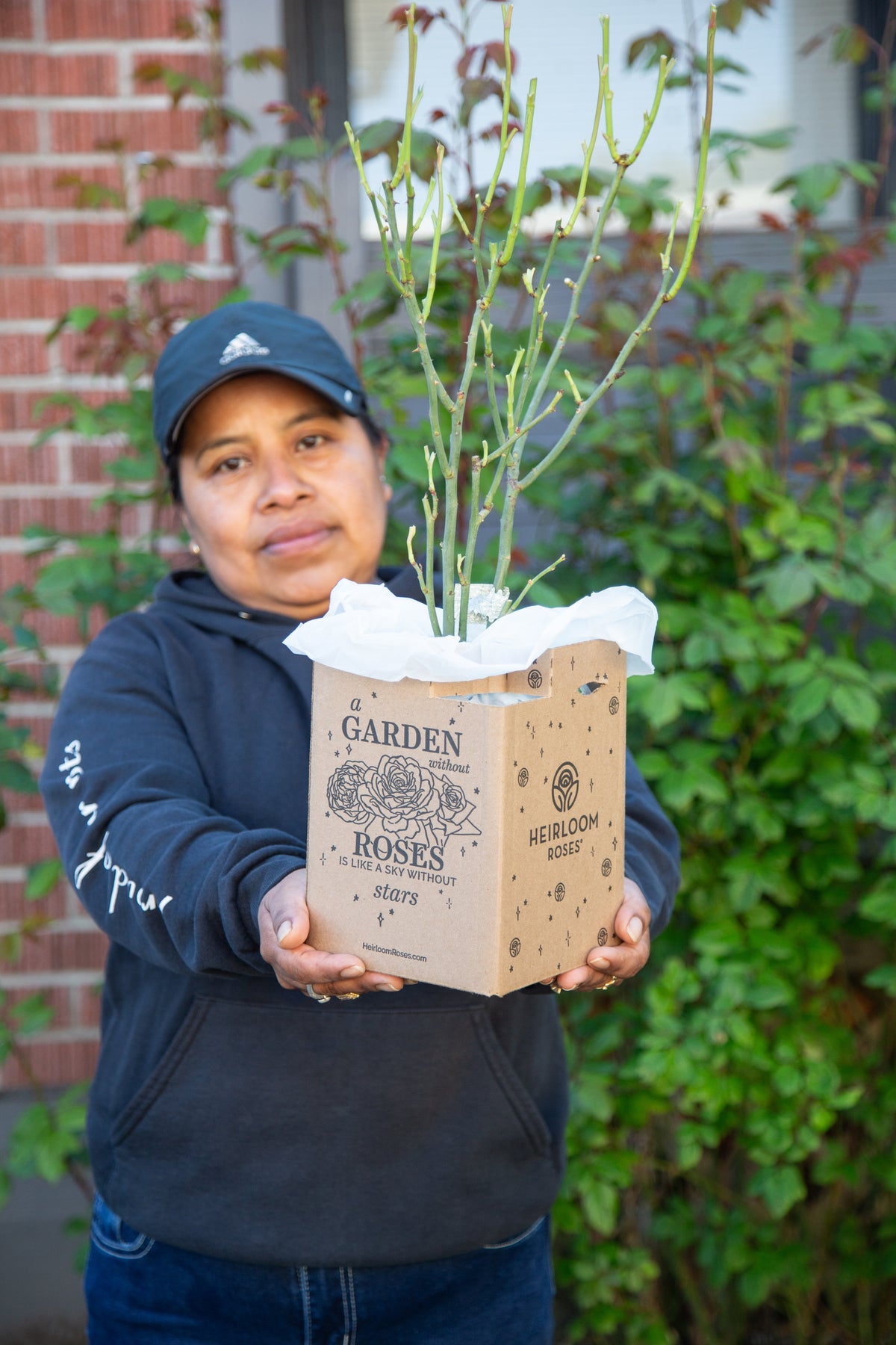 Compostable Packaging for Roses