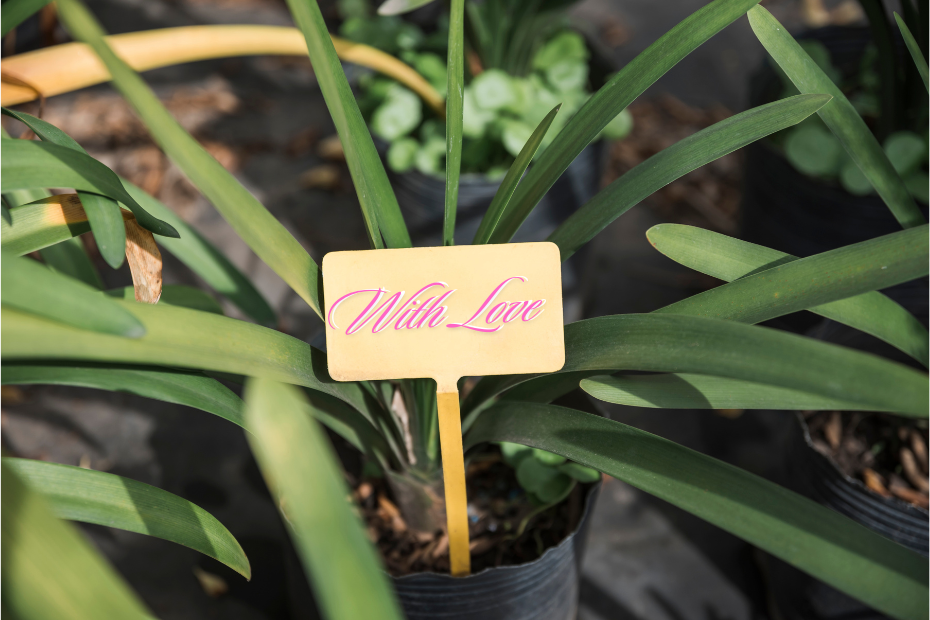 Stop the Guessing Game and Transform Your Garden With Custom Plant Stakes