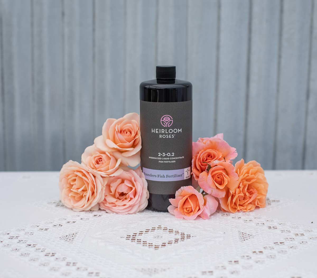 How to Fertilize Roses