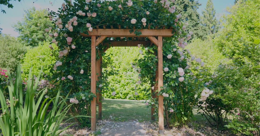 Gretchen's Garden Tour