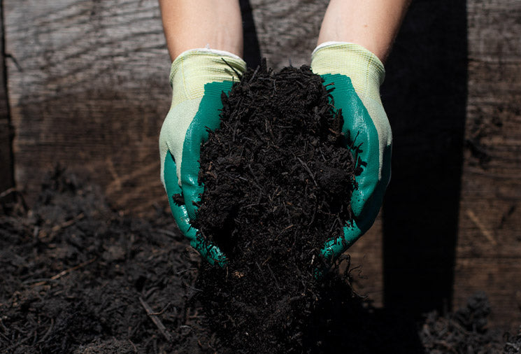 The Benefits of Mulching – Heirloom Roses