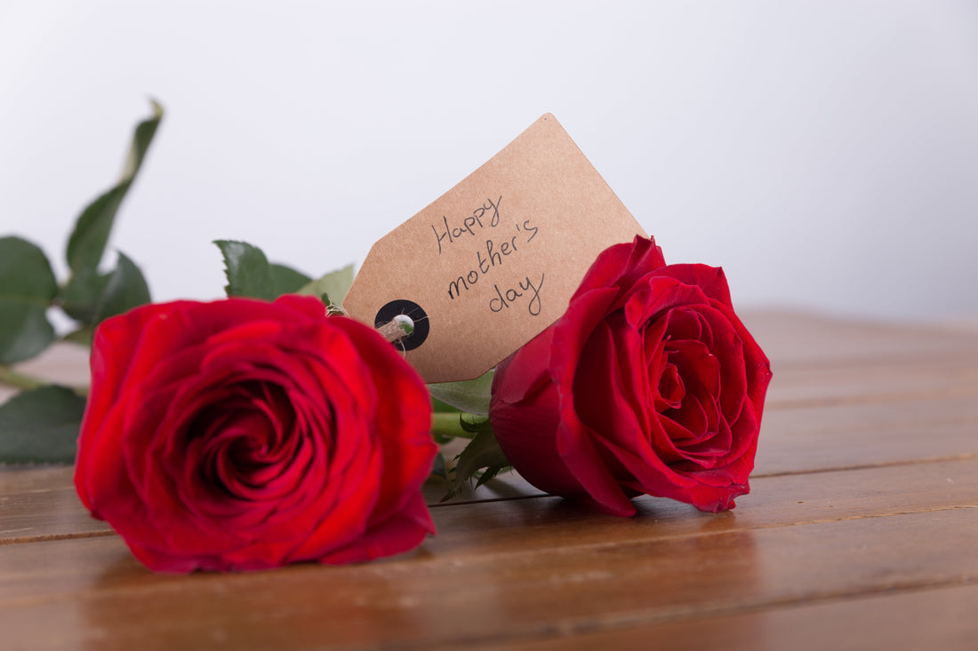 Celebrate Mother’s Day with The Living Gift of Meaningful Own-Root Roses