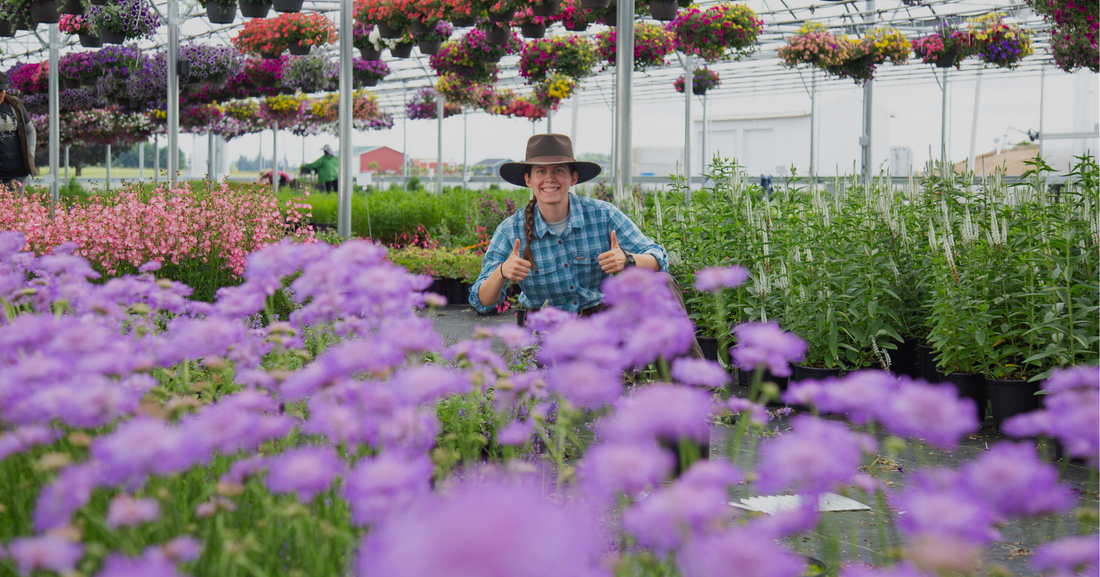 Heirloom™ Staff Picks: Perennials