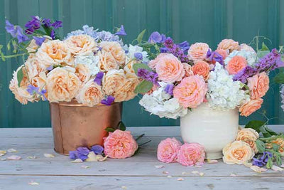 How To Preserve Blooms For Longer Vase Life: 4 Easy Steps