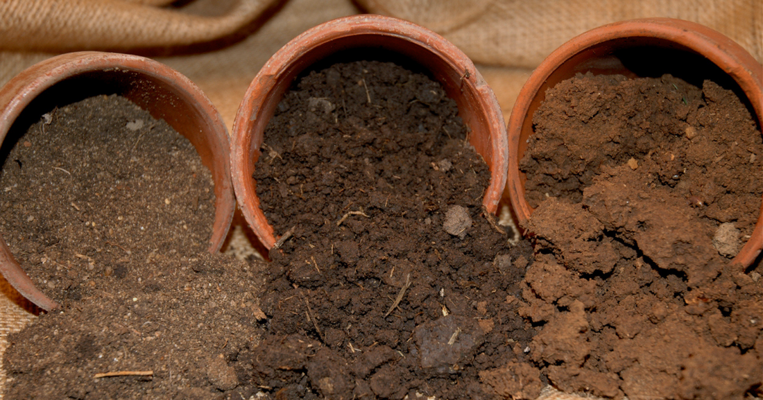 Soil Recommendations