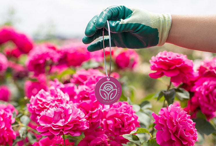 Garden Marker Instructions For Tags