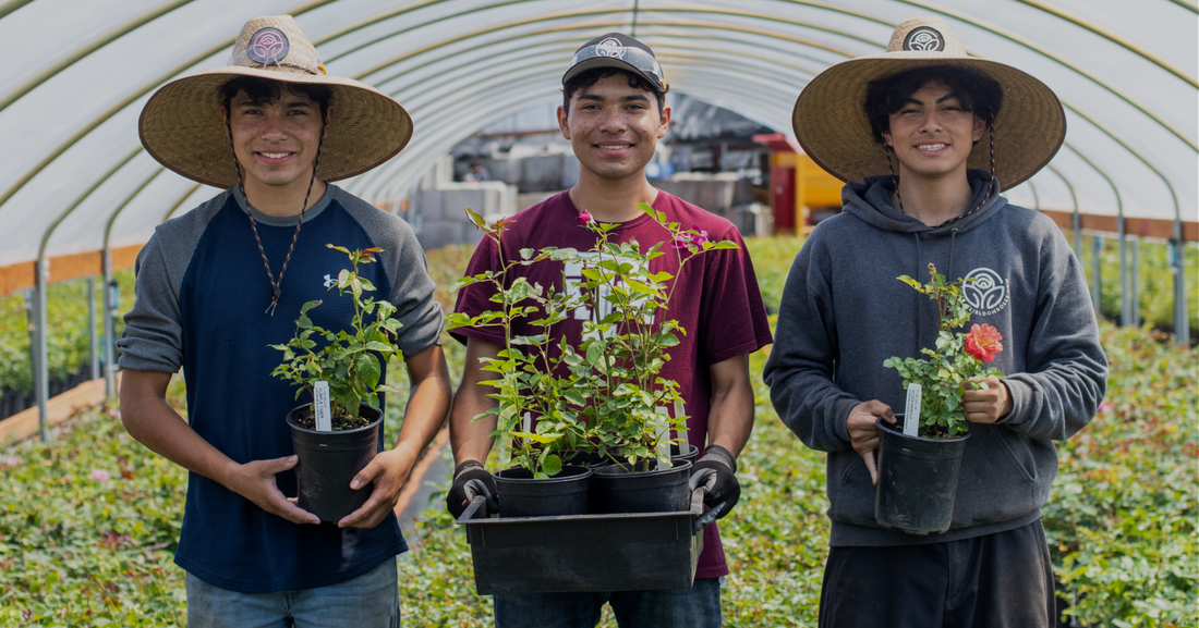 Jobs at Heirloom