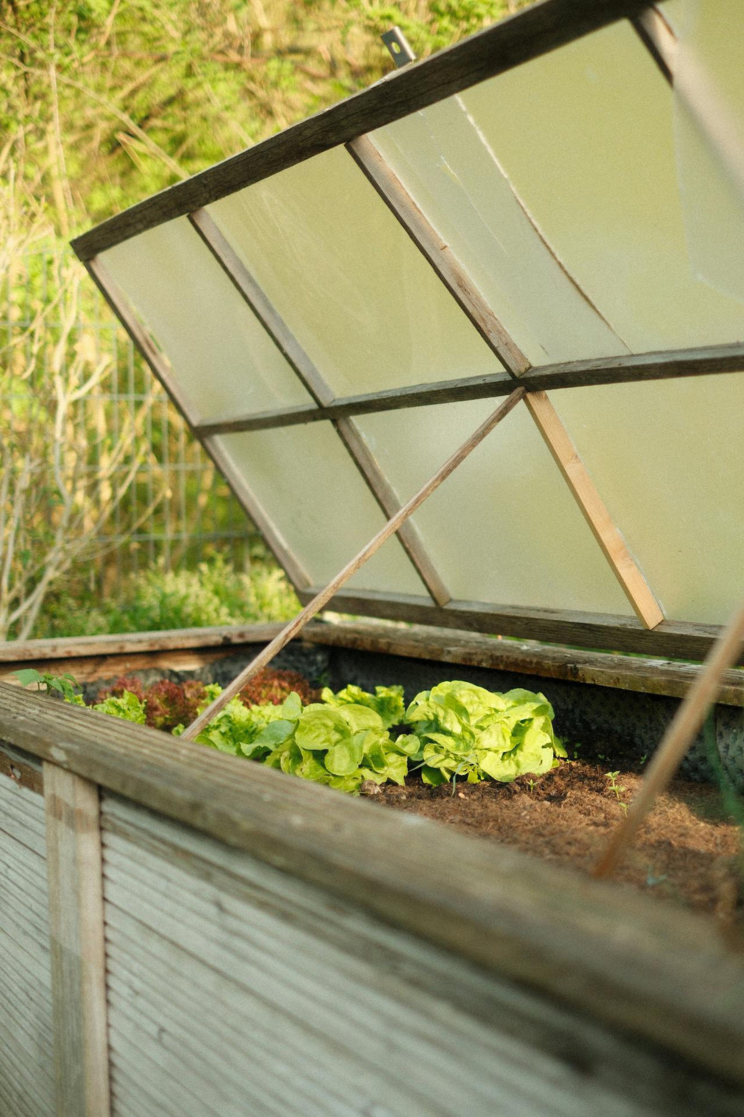 The Ultimate Guide to Building a Raised Garden Bed