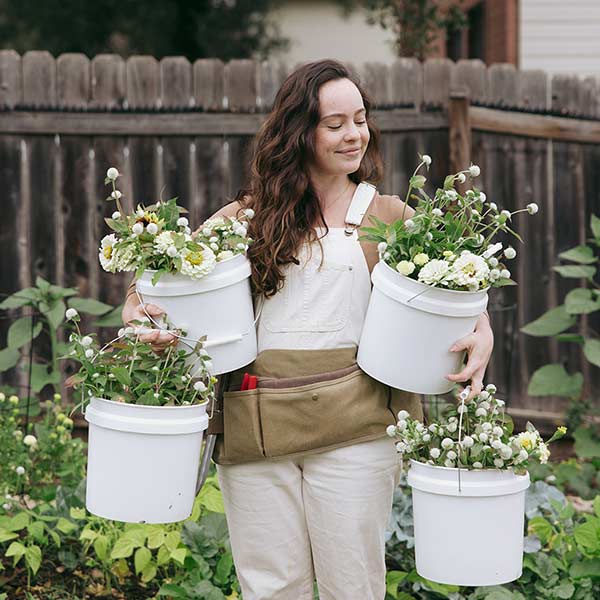 Brooke's Favorite Roses