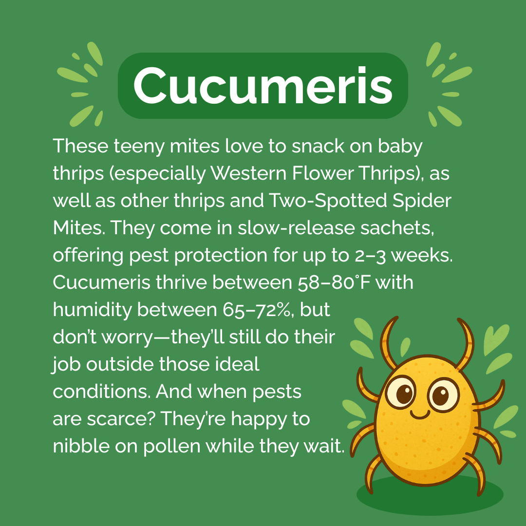 Beneficial Insect Subscription