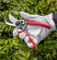 View Pruners