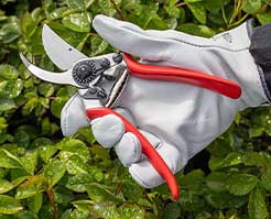 View Pruners