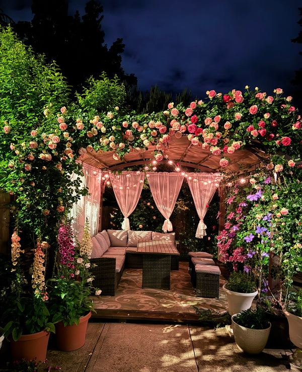Best Spot In Your Garden