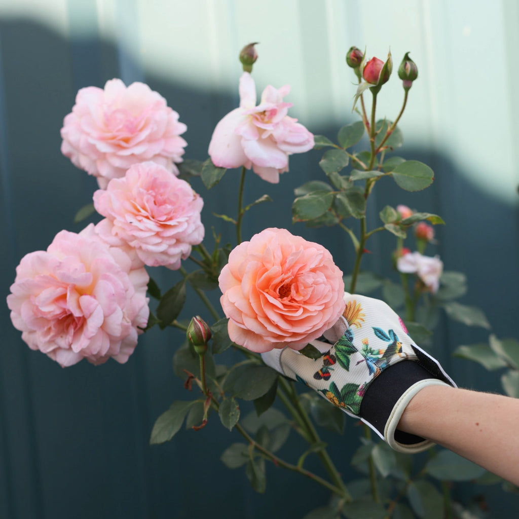 Leather Garden Gloves with Touchscreen Capability