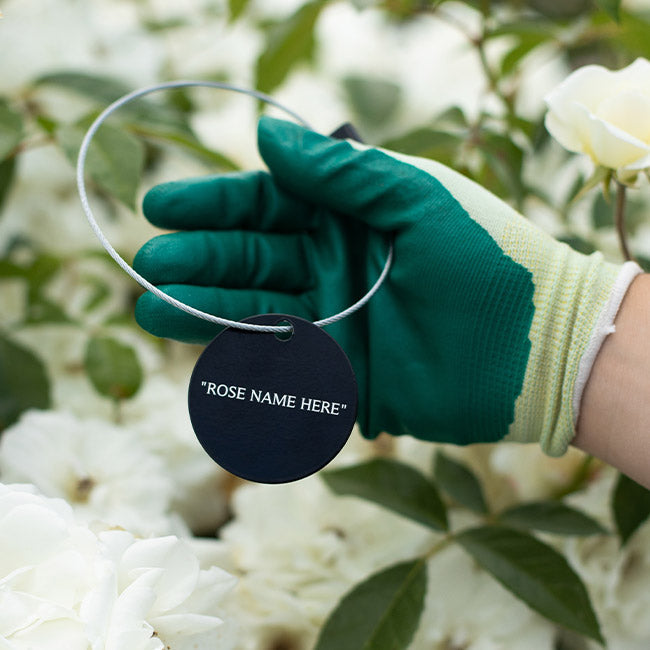 White Pet Tag