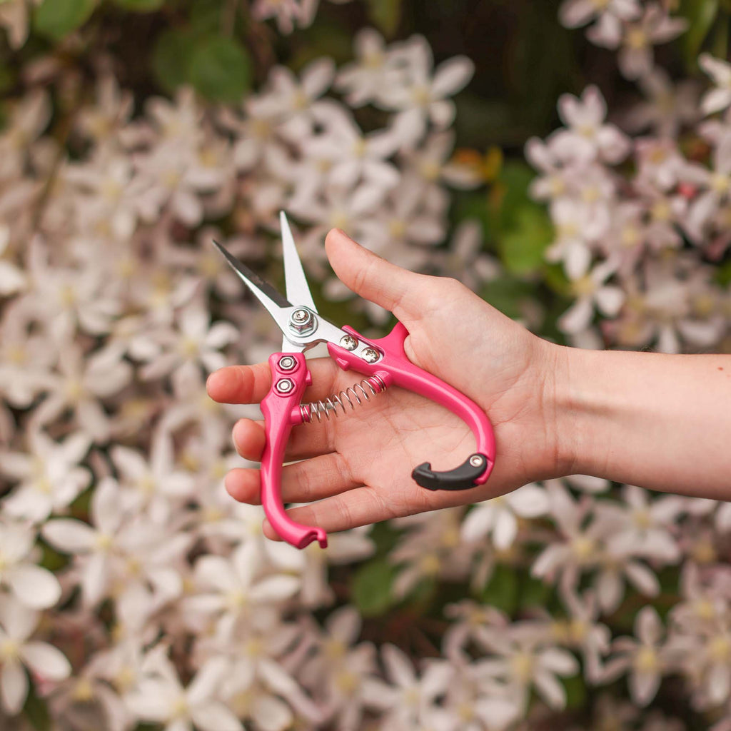 Bright Pink Pointed Pruners