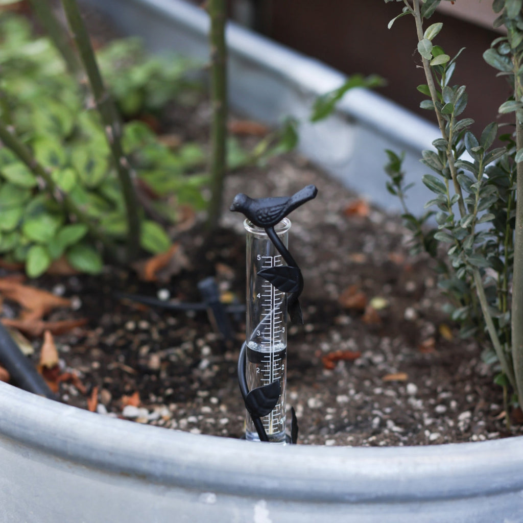 Leaf Rain Gauge