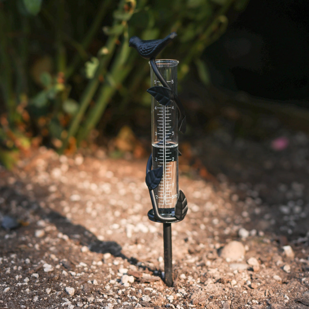 Leaf Rain Gauge