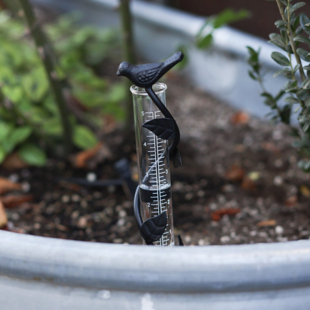 Leaf Rain Gauge