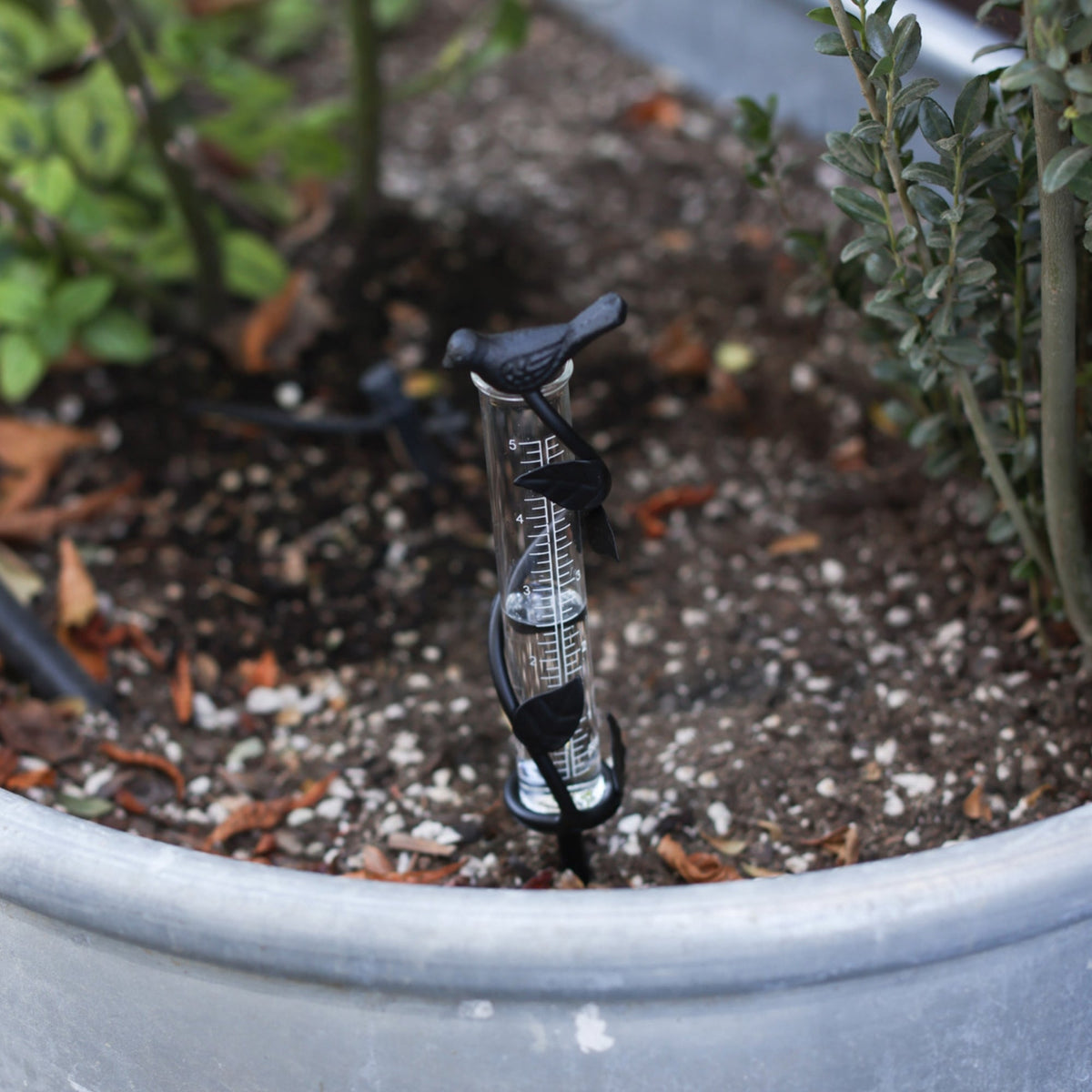 Leaf Rain Gauge