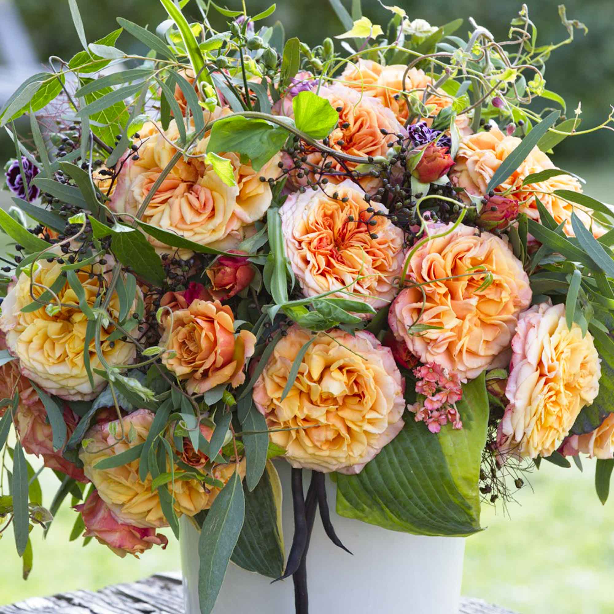 Sunbelt Crazy Love Grandiflora Rose | Orange Rose Plant – Heirloom