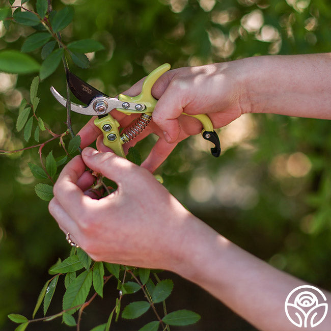 Flora Bypass Pruners