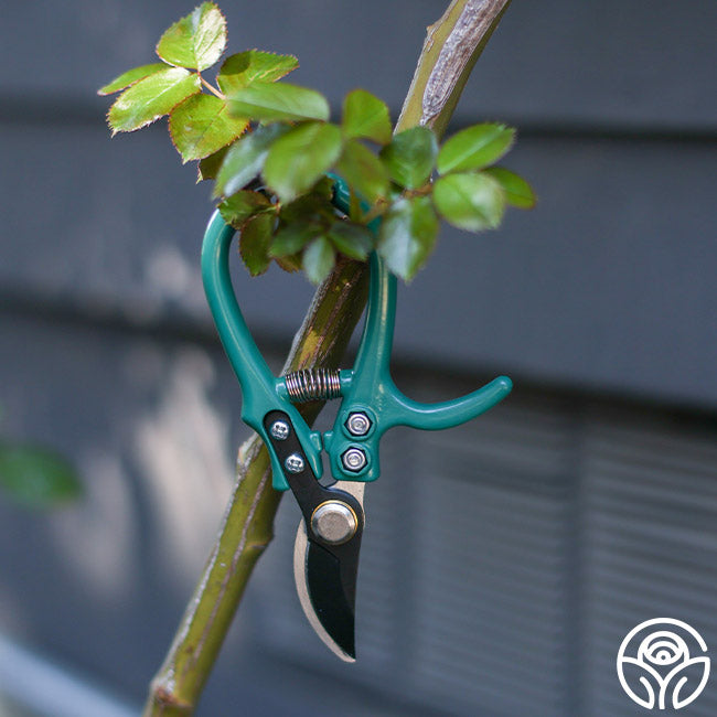 Flora Bypass Pruners – Heirloom