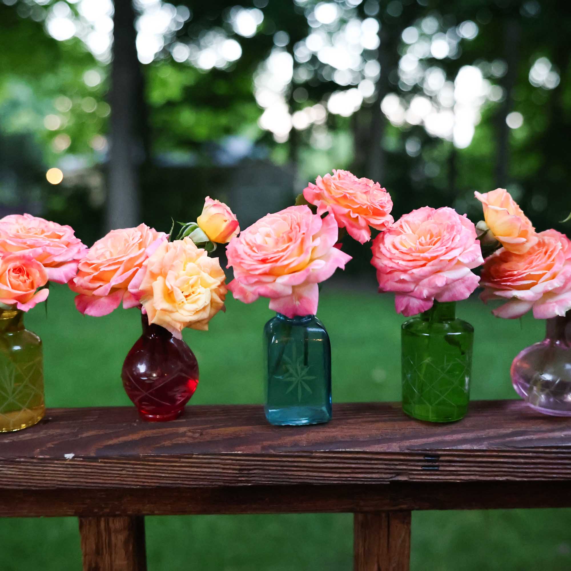 Garden Delight™