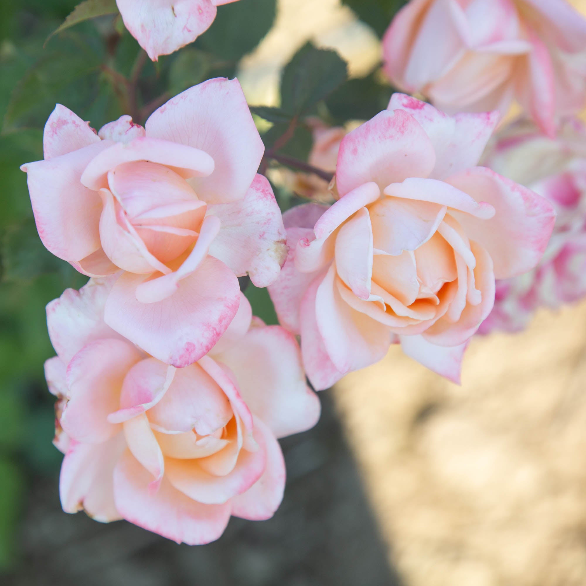 Generosity™
