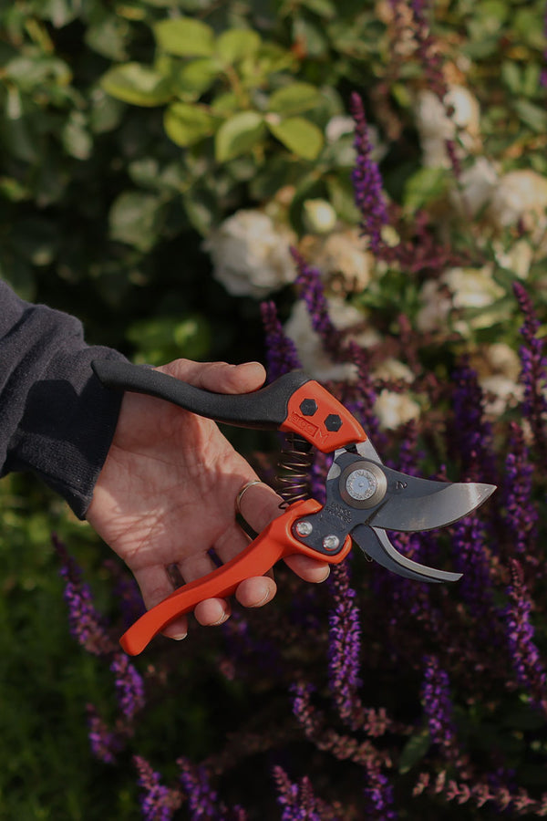 Up To 25% Off Garden Tools