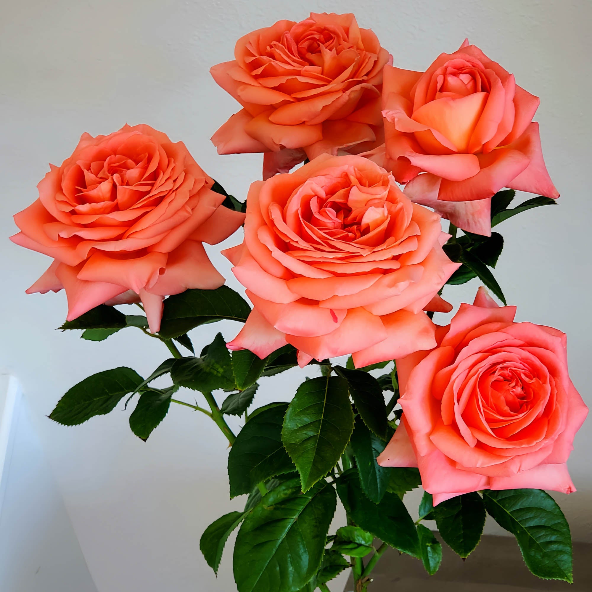Heavenly Scented™