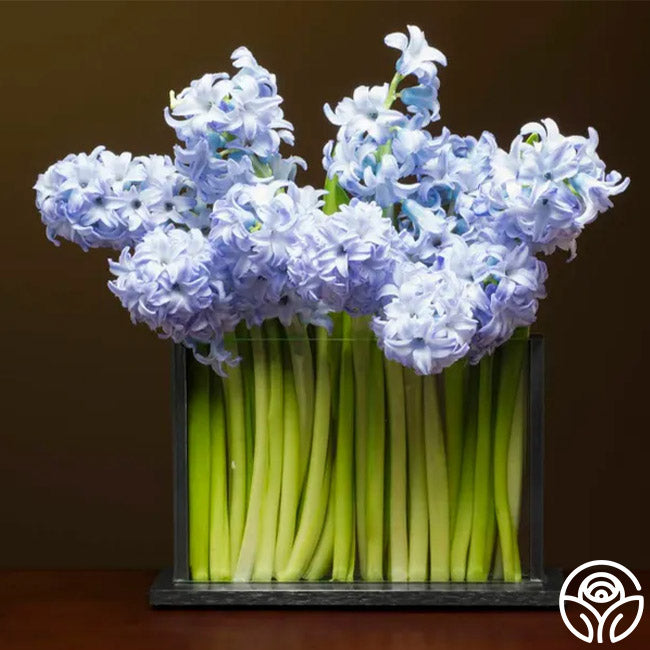 Horizontal Still Life Vase