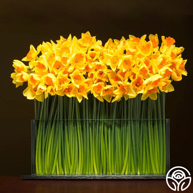 Horizontal Still Life Vase