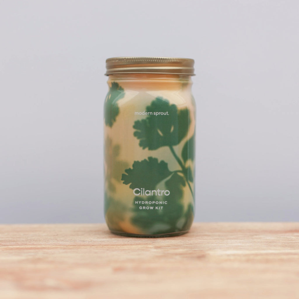 Herb Garden Jars - Cilantro