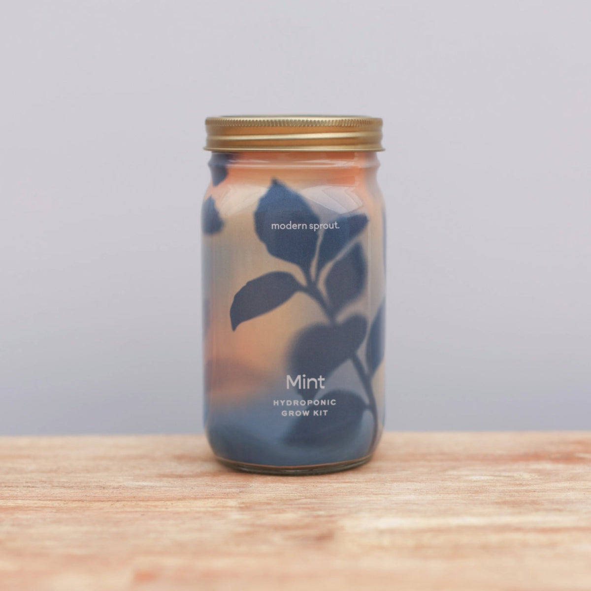 Herb Garden Jars - Mint