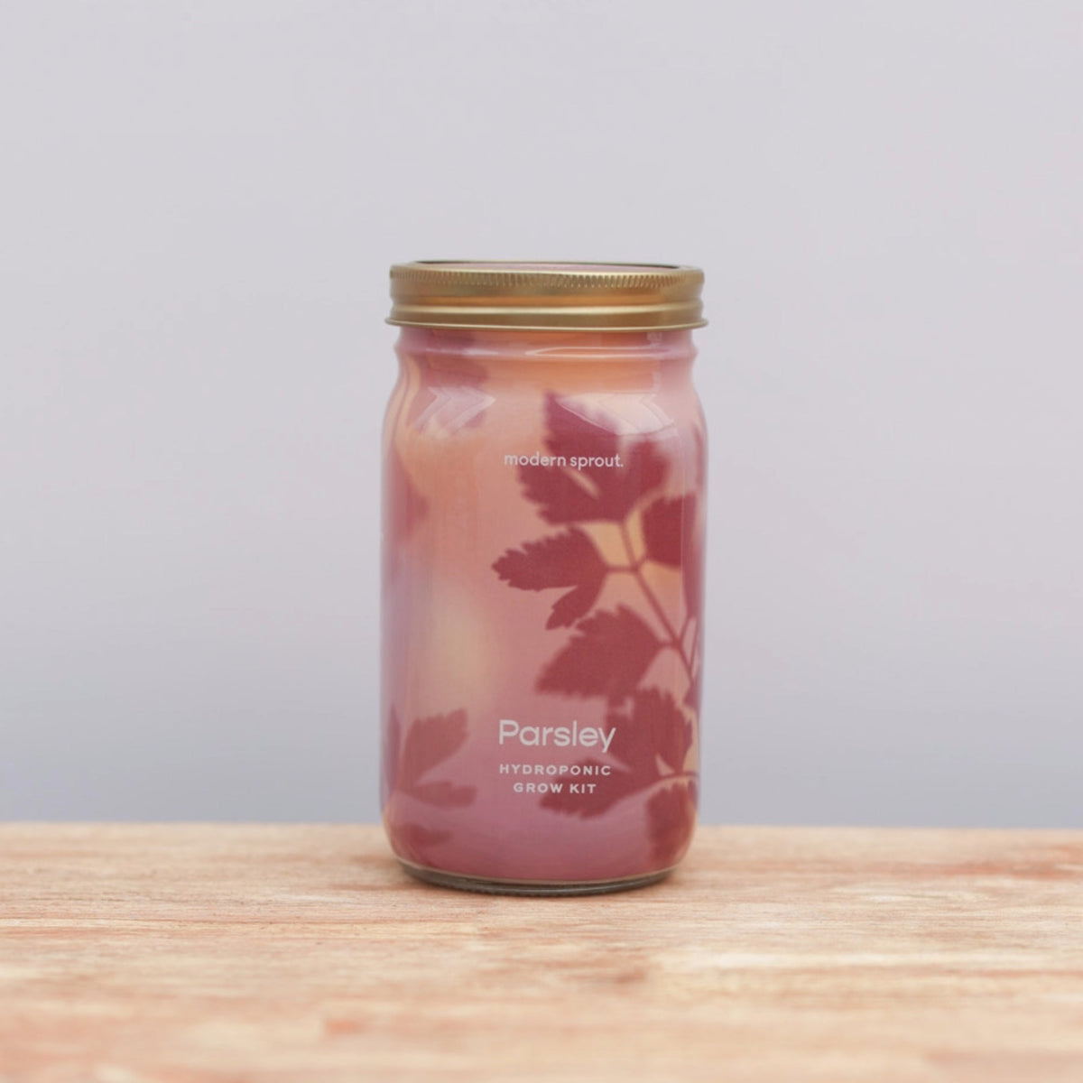 Herb Garden Jars - Parsley