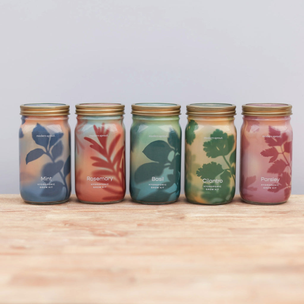 Herb Garden Jars