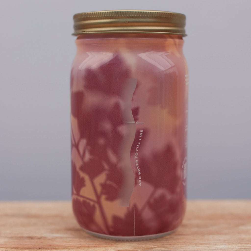 Herb Garden Jars